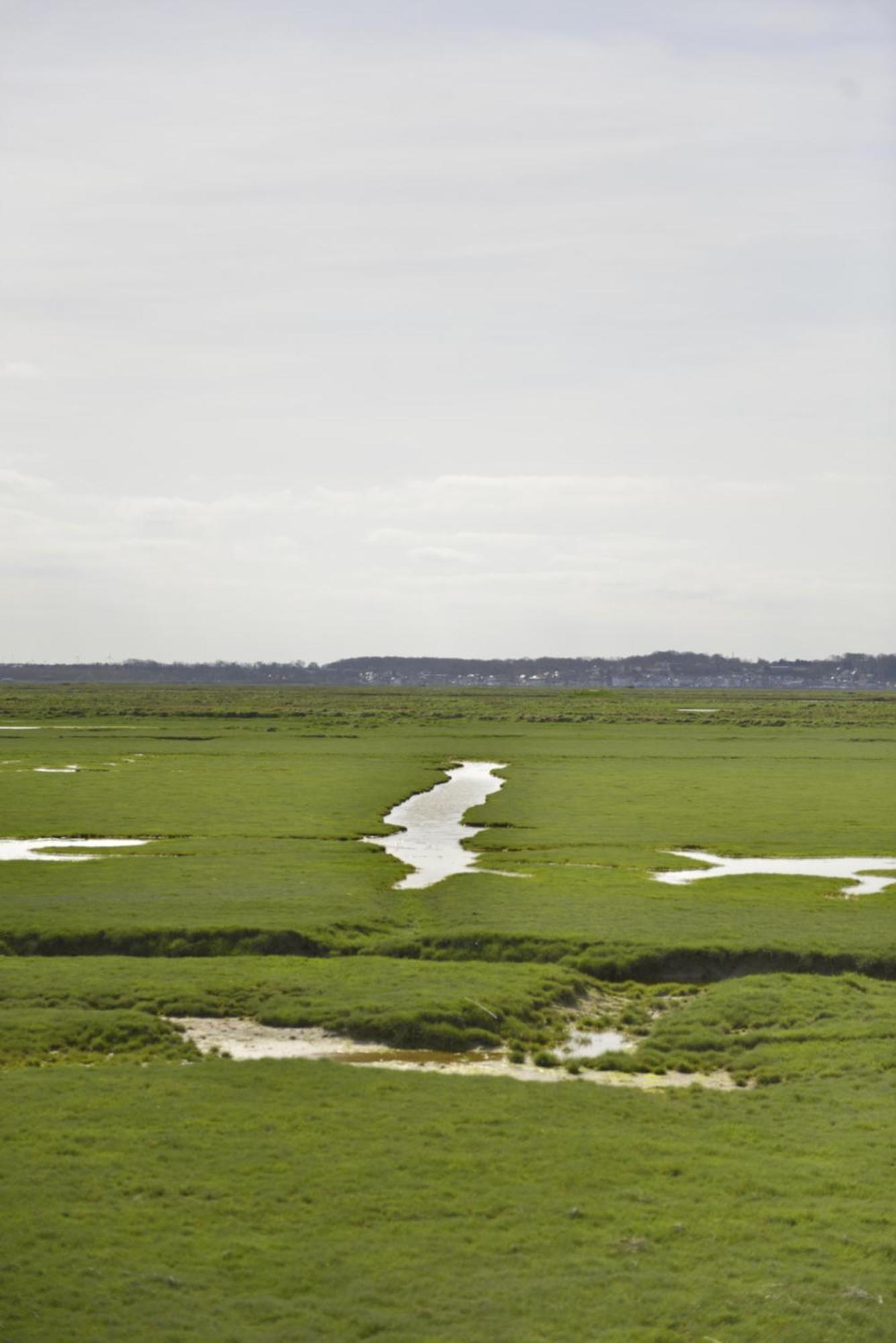 Le Cottage De La Baie - Vue Mer En Baie De Somme Woignarue Exteriör bild