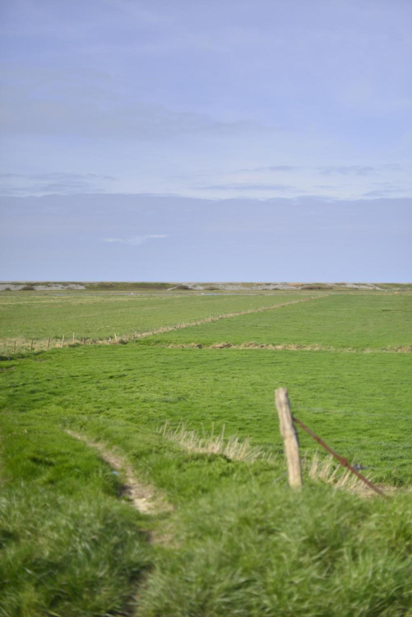 Le Cottage De La Baie - Vue Mer En Baie De Somme Woignarue Exteriör bild